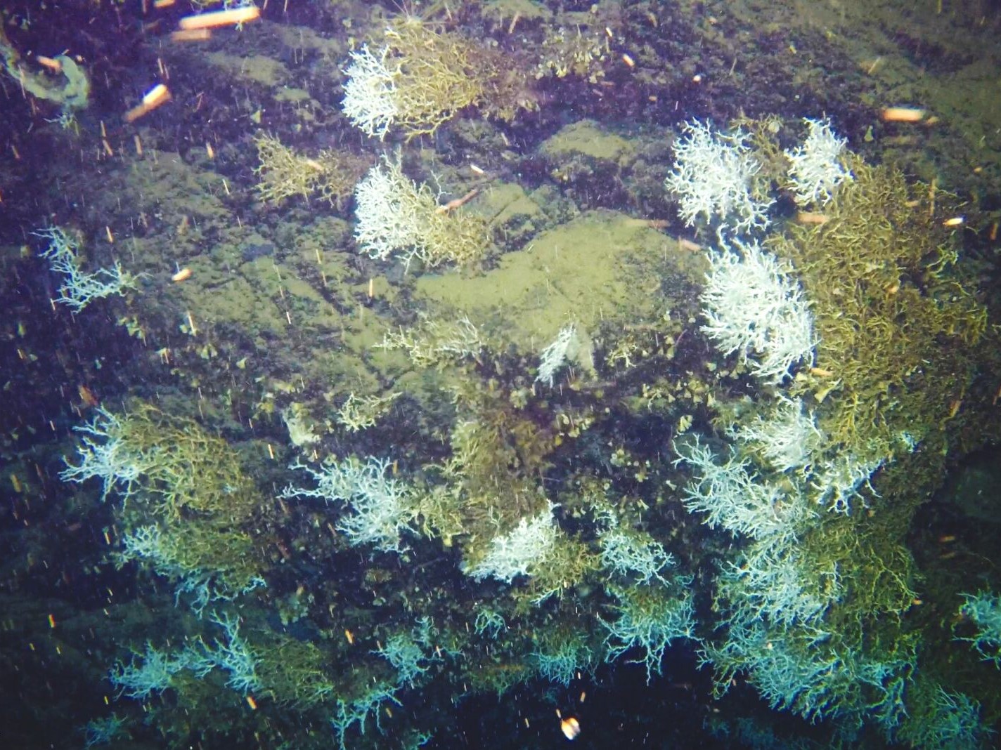 Office and operations at MT MILLAR LIMITED